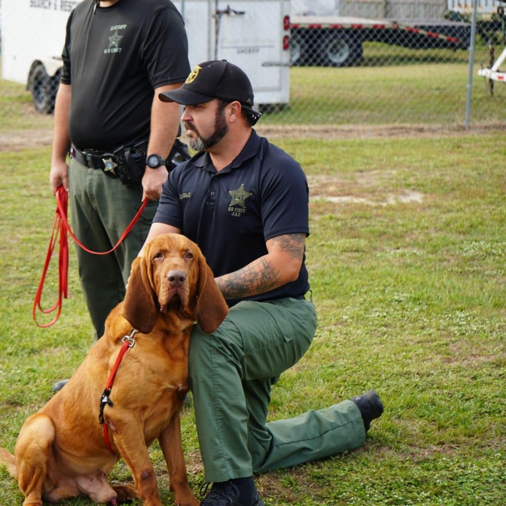 Bay County Sheriff's Office working dog and officers in training